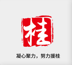 聚焦产业，，，致力援桂