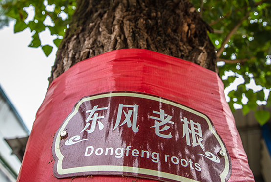 拉斯维加斯3499官网老根